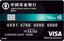 全球支付卡VISA白金卡